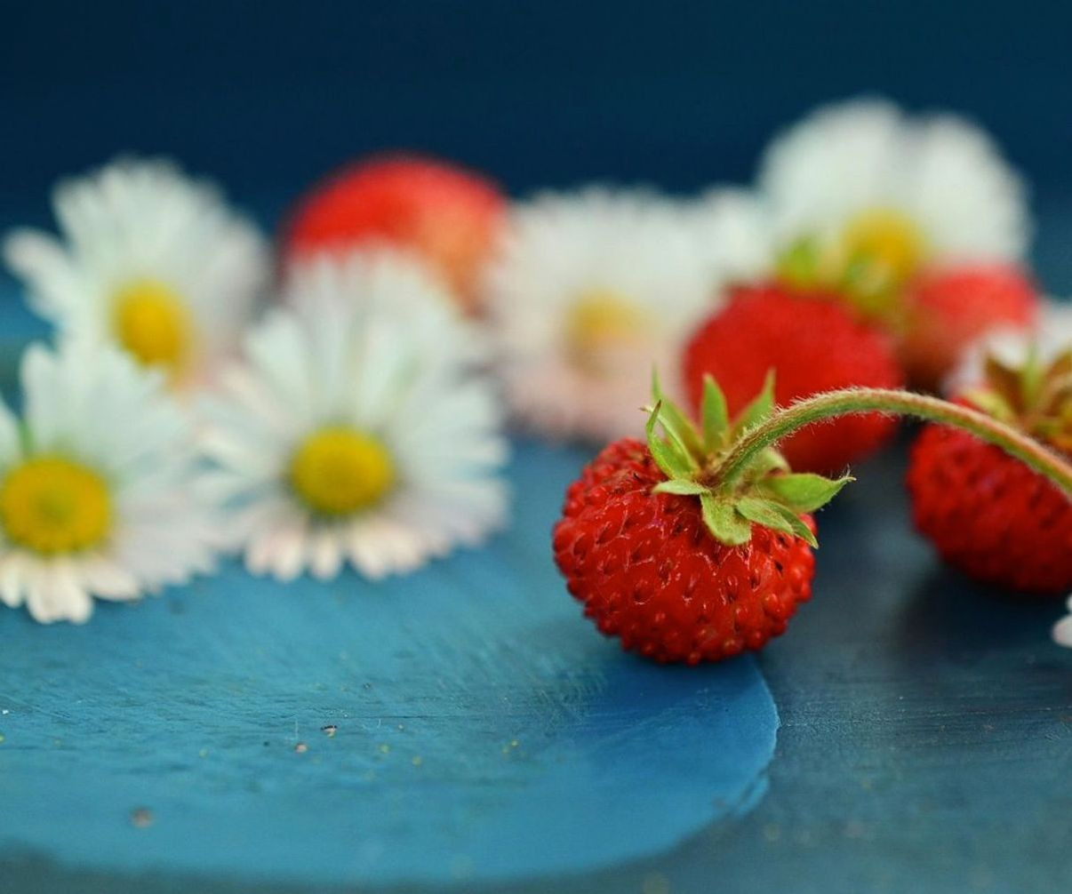 Caja de frutas frescas recién llegadas